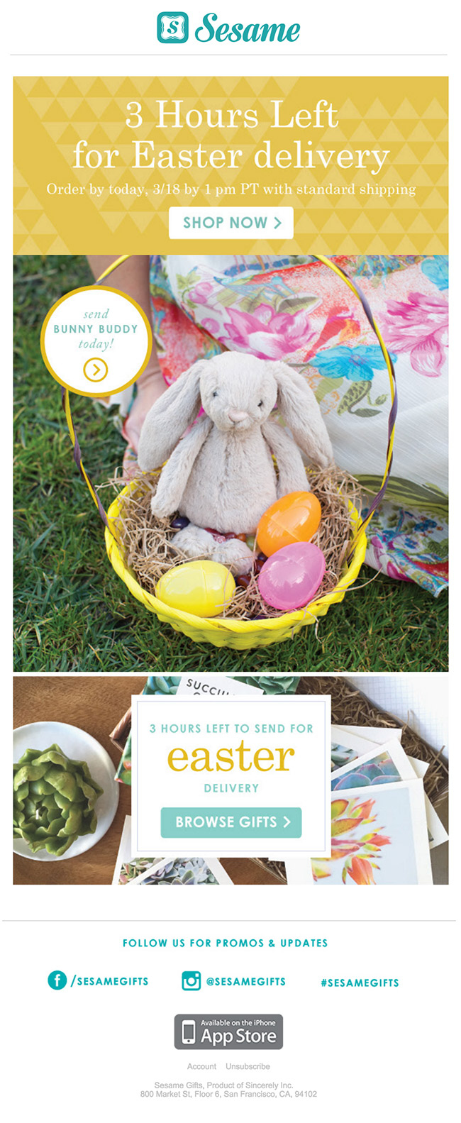 Sesame Gifts Easter Email colorful